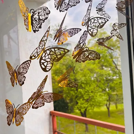 Primitor Langa Clinici Universitati Parcare Apartmán